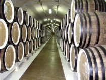 Wine Cellars 